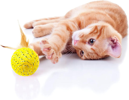 10Pcs Colorful Rainbow Flutter Balls with Feather and Bells for Indoor Outdoor Kitty Kitten Interactive Play