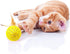 10Pcs Colorful Rainbow Flutter Balls with Feather and Bells for Indoor Outdoor Kitty Kitten Interactive Play