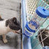 2PCS No Drip Small Animal Water Bottle, 8.45 oz Cage Water Bottles for Small Pets, Bunny, Ferret, Hamster, Guinea Pig