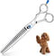 Moontay Professional Dog Grooming Straight, Curved, Thinning/Blending/Chunking Scissors Kit, JP-440C Stainless Steel
