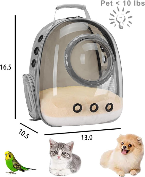 Transparent Bubble Cat Carrier Backpack for Small Puppy and Bunny, Grey, Pet Carrier Backpack