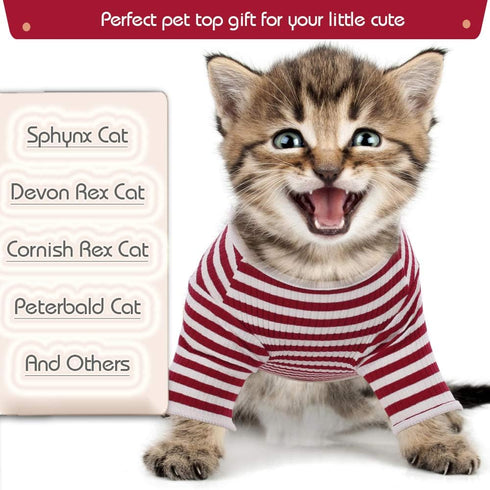 DENTRUN Breathable Hairless Cats Shirt, Adorable Stripe Vest Pajamas Jumpsuit, Soft & Skin-Friendly Daily Wear