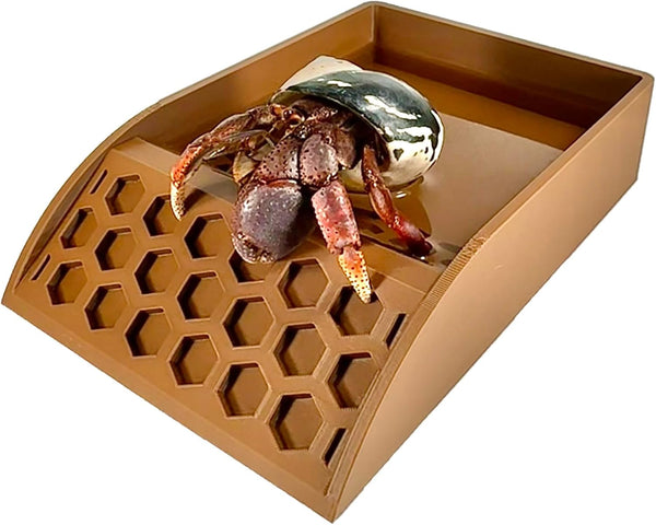 Lucky Critter Hermit Crab Pool with Ramp | Hermit Crab Tank Decor