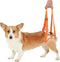 Dog Sling for Back Legs | Adjustable Auxiliary Belt for Small Medium Large Dogs (S)