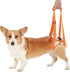 Dog Sling for Back Legs | Adjustable Auxiliary Belt for Small Medium Large Dogs (S)