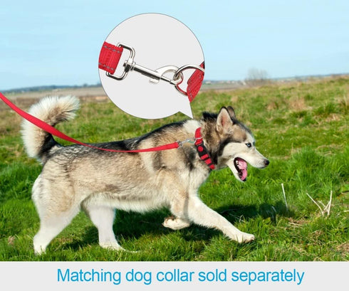 Taglory Dog Leash, Double-Sided Reflective, Soft Neoprene Padded Handle, 3/4 inch by 5 ft, for Dogs Under 20 lbs, Red