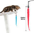 Molain Cat Wand Toy Replacement Refill - 12 Pcs Furry Tail Worm with Bell for Interactive Cat Chaser Toys