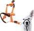 Dog Head Collar Halter with Safety Strap, Stops Pets from Pulling for Outdoor Walks (L)