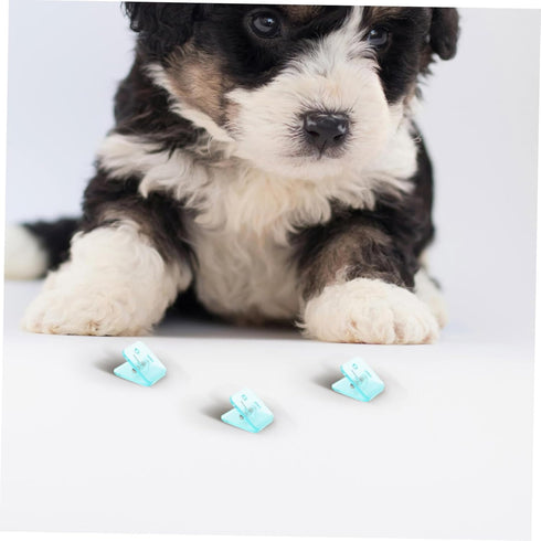 6 Puppy Training Pad Holder Mount Pee Pad Holder Sturdy Design for Dog Potty Training