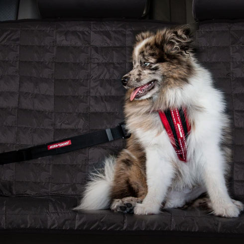 CLICK Dog Seat Belt for Car by EzyDog - Adjustable Heavy Duty Nylon Attachment
