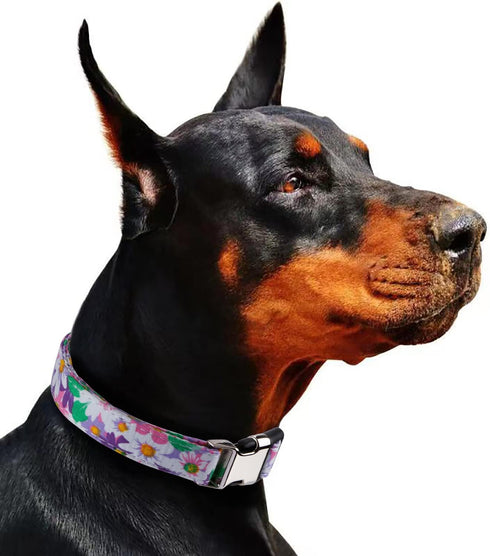 Rhea Rose Cute Floral Dog Collars with Sunflower Daisy Patterns for Girl Boy Dogs, Purple Sunflowers L