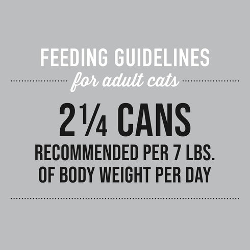 Tiki Cat Silver Comfort Mousse + Shreds, Chicken & Duck and Duck Liver, Immune Support for Older Cats Aged 11+, 2.4 oz
