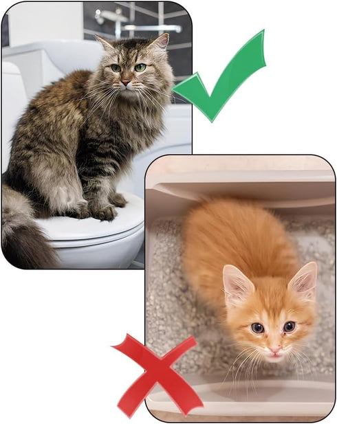 Cat Toilet Training Kit Litter Box Alternative with Tray, Reusable Potty Seat Adapter for Cats & Kittens, Hygienic