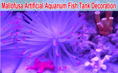 Mallofusa Artificial Sea Anemone – Silicone Fish Tank Decoration Ornament (White)