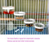 8 Pcs Small Bird Removable Transparent Bowl, Parrot Food Feeder with Small Food Cups for Canary Finch Parrot Small