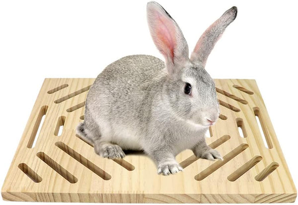 Litewoo Rabbit Scratch Board Foot Pad Mat Chew Toy Grinding Claws Teeth