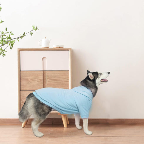 BINGPET Dog Hoodies - Fleece Lined Fall Sweatshirt for Small Medium Large Dogs & Cats - Soft Warm Sweater
