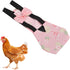 Pet Chicken Diapers,Chicken Goose Duck Loose Tight Belt Diapers Poop Pocket Diapers Pattern for Poultry Pet Using