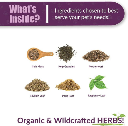 1 Amber NaturalZ TYD Thyroid Balance Herbal Supplement for Dogs, Cats, Birds, Guinea Pigs, and Rabbits | Herbal Pet