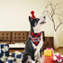 Dog Birthday Boy Bandana and Hat Set, “Birthday Boy” Print Plaid Party Supplies for Small Medium Large Pets (Red)