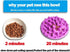 Cat Catch Interactive Feeder Bowl - Anti-gulping Slow Feed Pet Bowl - Cat Feeding Bowls