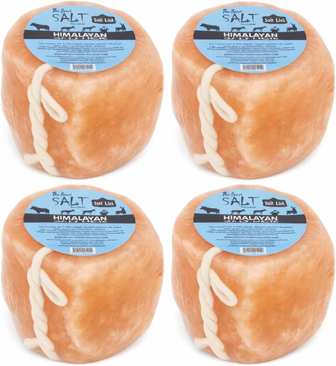 4 Pack (4.4 lb 100% (4) Himalayan Salt Lick for Horses & Livestock Each) | Natural Pink Salt on Rope | Supports