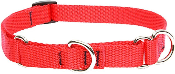 LupinePet Basics 3/4" Red 10-14" Martingale Collar for Small Dogs