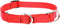 LupinePet Basics 3/4" Red 10-14" Martingale Collar for Small Dogs