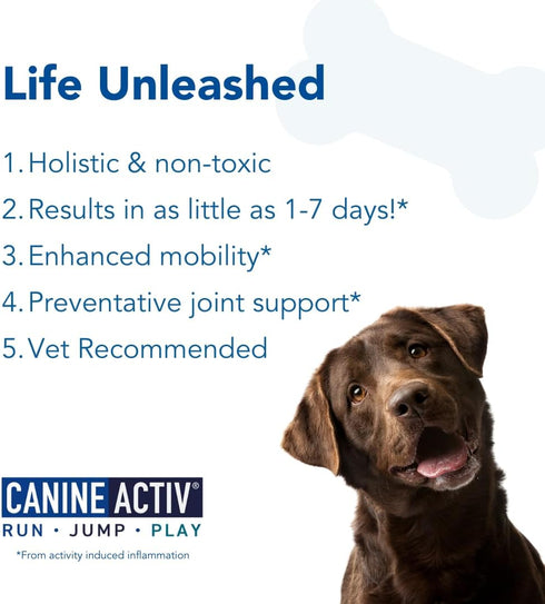 Dog Joint Pain Relief Capsules, 90 Ct - Activity-Induced Joint Supplement for Large Breed Dogs, Fast Pain Relief