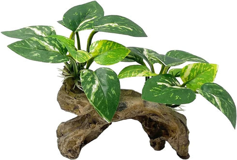 Smoothedo-Pets Aquarium Decor Ornaments, Betta Silk Leaf Pad Hammock & Artificial Driftwood Cave for Goldfish Bowl