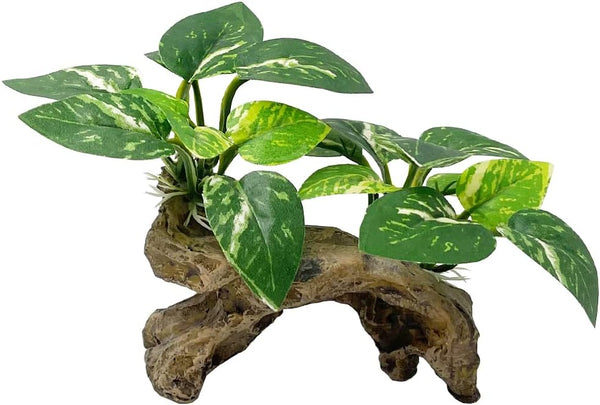 Smoothedo-Pets Aquarium Decor Ornaments, Betta Silk Leaf Pad Hammock & Artificial Driftwood Cave for Goldfish Bowl