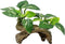 Smoothedo-Pets Aquarium Decor Ornaments, Betta Silk Leaf Pad Hammock & Artificial Driftwood Cave for Goldfish Bowl