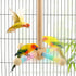 Yuanfenron Parrot Spinning Windmill Perch, Bird Toy Rotating Stand for Parakeets, Cockatiels, Budgies - Interactive