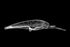 Nomad Design DTX Minnow 200 Heavy Duty SNK 8 Saltwater Fishing Lure, Deep Diving Minnow Lure Ideal for Tuna and Wahoo