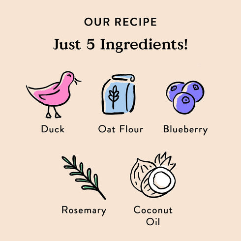 Bocce's Bakery Oven Baked Quack, Quack Treats, All-Natural Duck & Blueberry Biscuits, 5 oz, Made in The USA