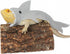 HAICHEN TEC Lizard Clothes - Shark Costume Outfit for Bearded Dragon, Handmade Apparel for Reptiles (M, Shark Costume)