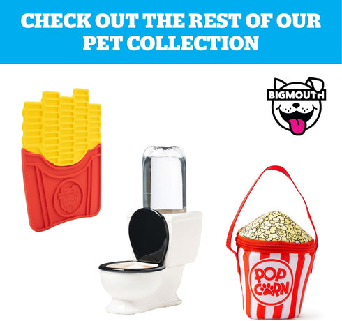 BigMouth Inc Rainbow Elevated Cat Bowl - Raised Ceramic Feeder for Small Dogs and Cats