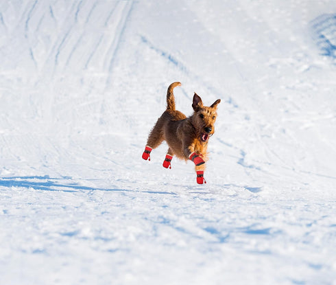 YAODHAOD Dog Shoes for Winter, Red Fleece Warm Snow Booties & Paw Protectors for Small Medium Dogs, Size 7: 2.3"x1.9"
