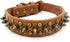 Spiked Dog Collar, Soft PU Leather Mushrooms Rivet Spike Studded Adjustable Puppy Collars (XS, Brown2)