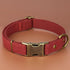PET ARTIST Dog Collars for Small Dogs, Heavy Duty with Quick Release Metal Buckle, Soft Padded Red, S