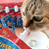 10 Pack (60.87oz) SuperPaw Pet Milk Lactose-Free Dog & Cat Milk for All Breeds and Ages, Easy to Digest, Liquid Formula