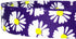 Blueberry Pet 2 Pattern Loving Daisy Prints Dog Leash - Soft Comfortable Handle, 5 ft x 5/8", for Small Dogs
