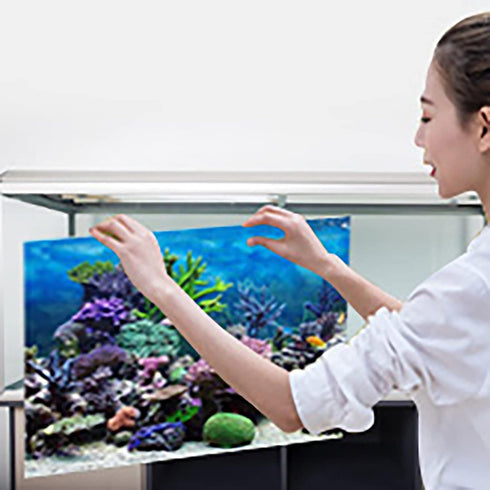 FILFEEL Aquarium Background Fish Decorations, PVC Adhesive Undersea Backdrop for Aquarium Fish Decoration 61 * 41cm