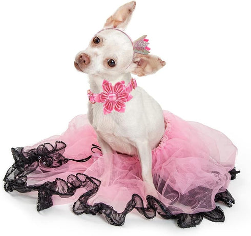 Lionheart Glory Dog Collar, Pink with Flower, Cute Floral Pattern Adjustable Collar for X-Small Dogs