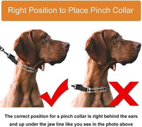 CBBPET Dog Prong Collar - Adjustable Training Collar with Quick Release Buckle for Small Medium Large Dogs
