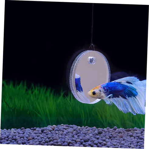 Beta Fish Tank Accessories Set, 1 Betta Training Mirror Double Sided Acrylic Float 6cm