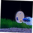 Beta Fish Tank Accessories Set, 1 Betta Training Mirror Double Sided Acrylic Float 6cm
