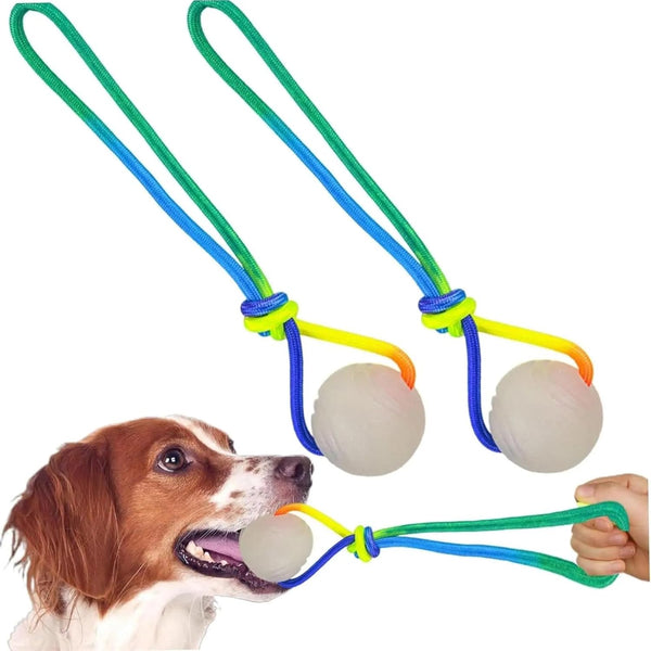 pureza Interactive Dog Ball Toys - 2 Pack Glowing Teether with Rope for
