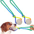 pureza Interactive Dog Ball Toys - 2 Pack Glowing Teether with Rope for