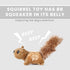 Laifug Hidden Squirrel Plush Dog Toy, Interactive Squeaky Hide and Seek Toy, Large